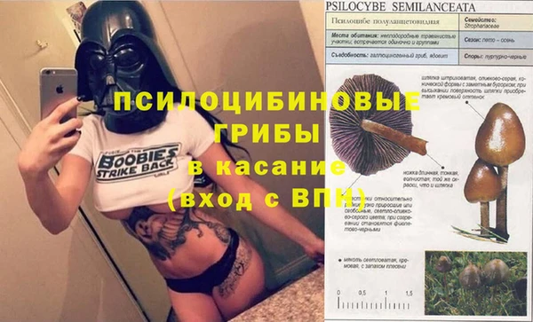 не бодяженный Абинск